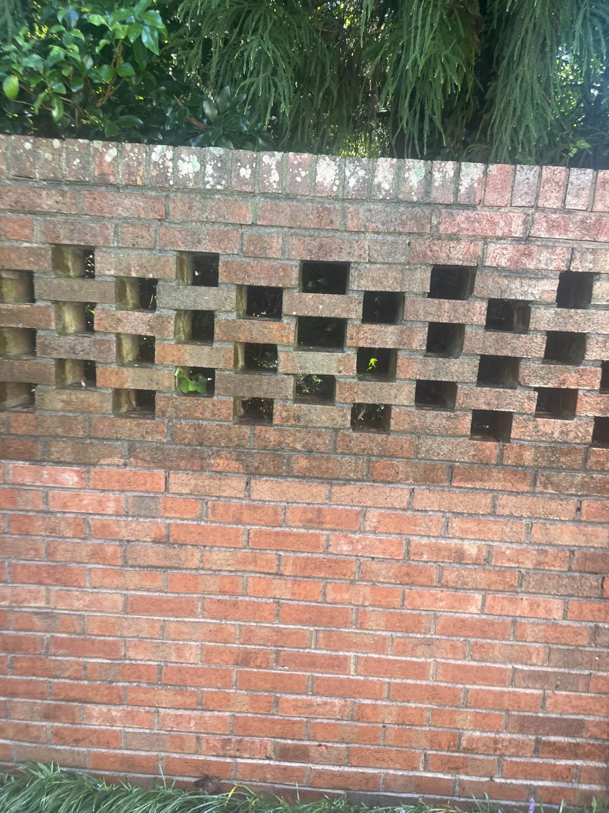 Brick stairs after pressure washing