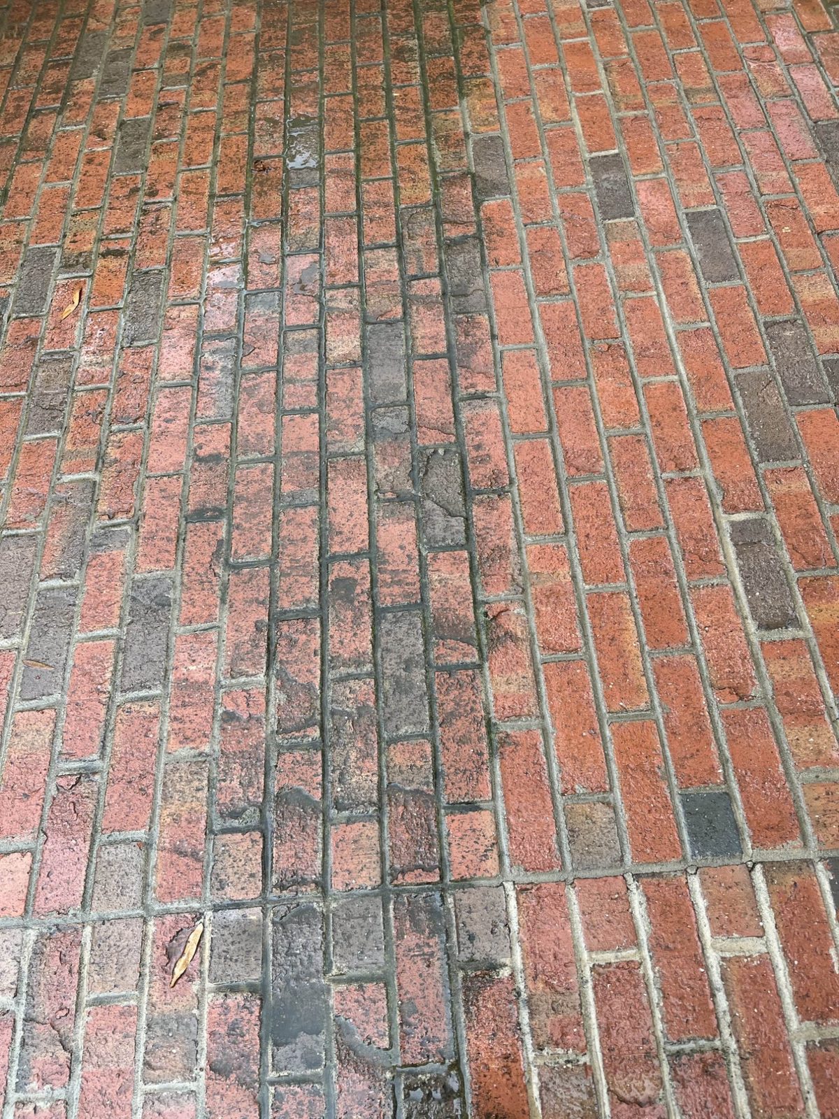 Brick stairs before pressure washing