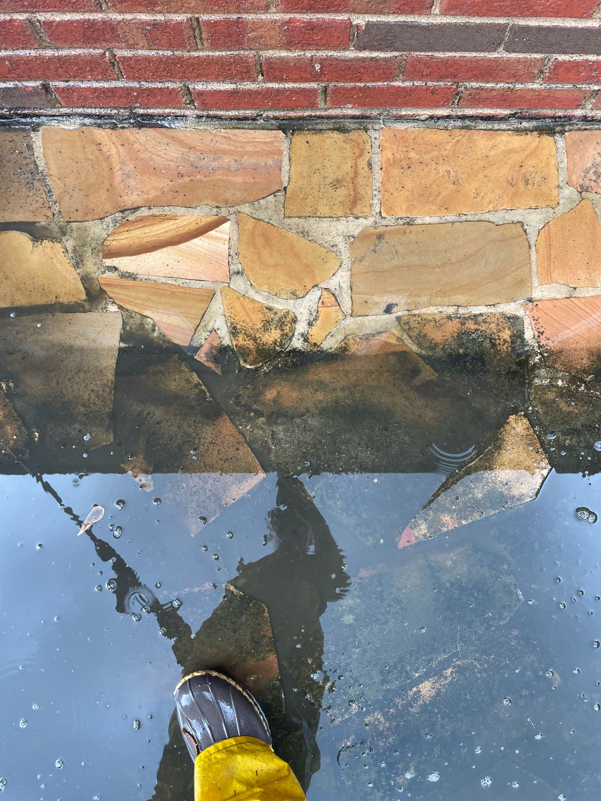 Flagstone patio deep clean transformation