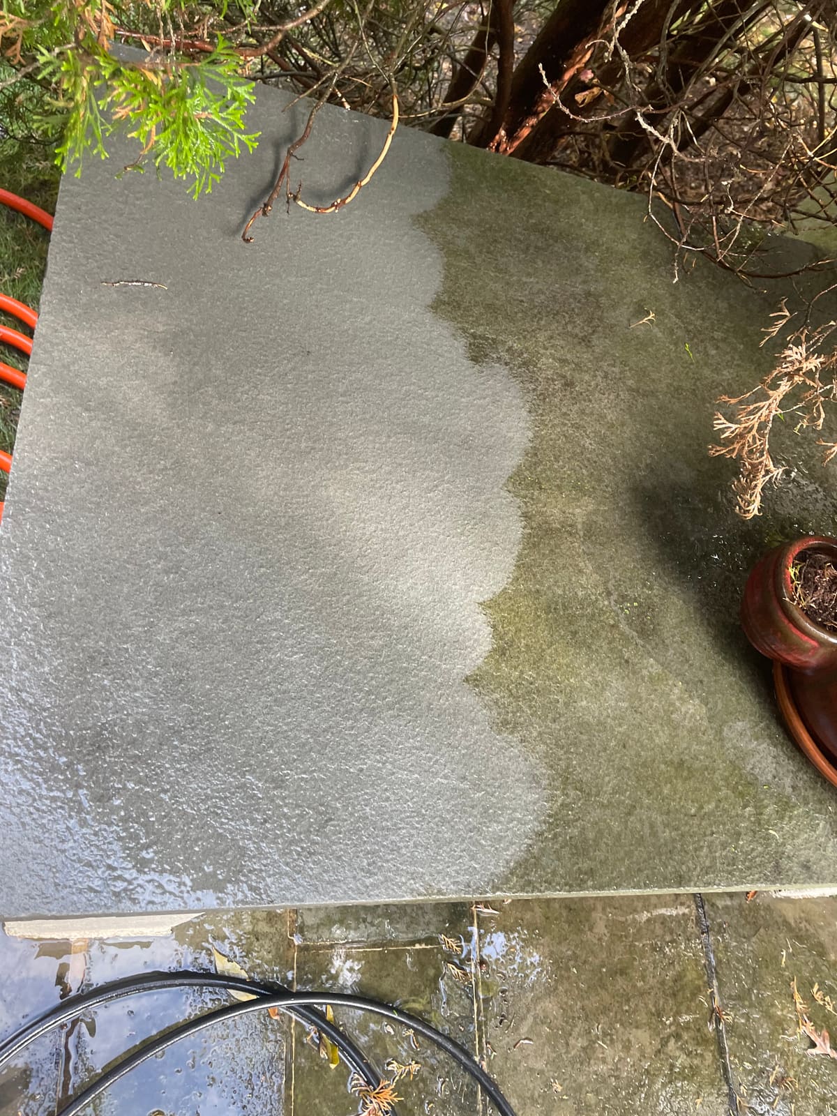 Flagstone paver moss removed in a clean split